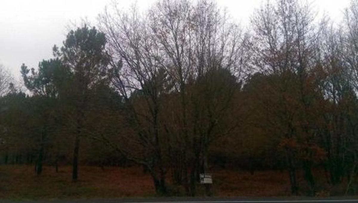 Terreno en venta en Vilamarin, Ourense photo 1