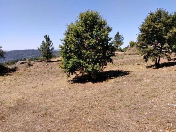 Terreno en camino a Bouza, km 1 thumbnail 2