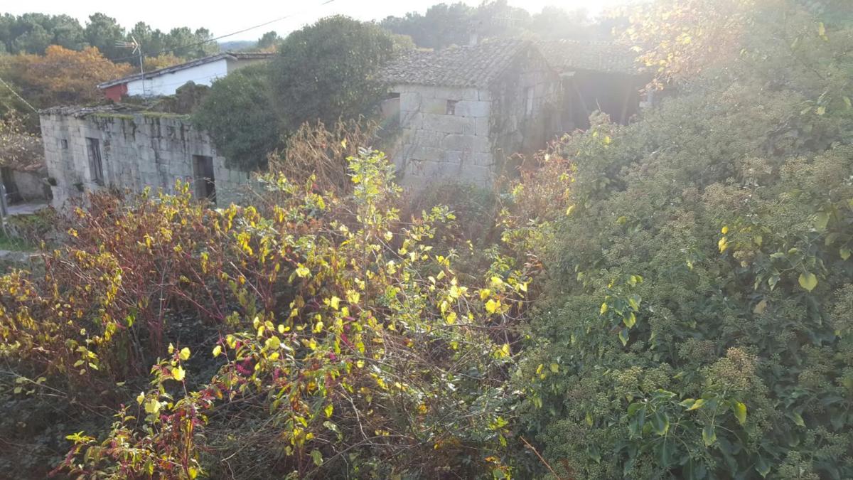 Terreno en venta en Coles, Ourense photo 1
