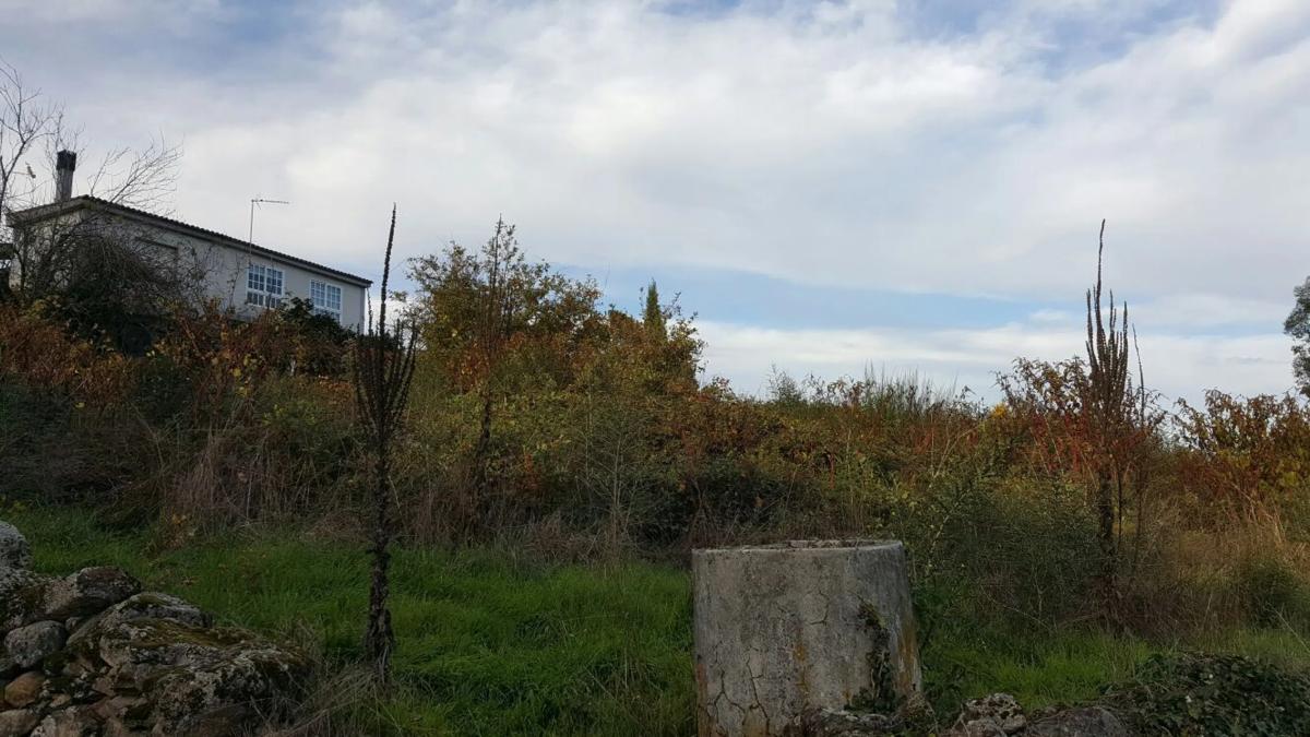 Terreno en venta en Coles, Ourense photo 2