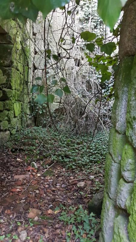 Terreno en venta en Coles, Ourense photo 4