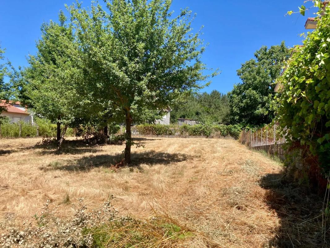 Terreno en venta en San Cibrao das Viñas, Ourense photo 2