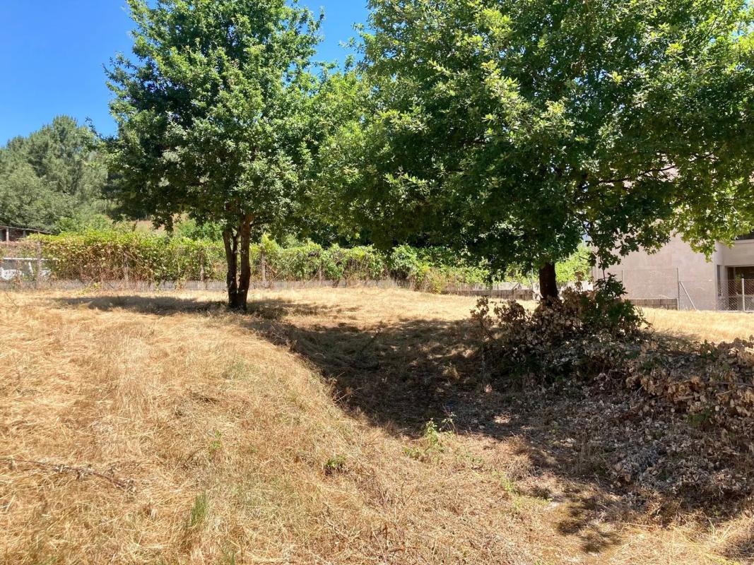 Terreno en venta en San Cibrao das Viñas, Ourense photo 3