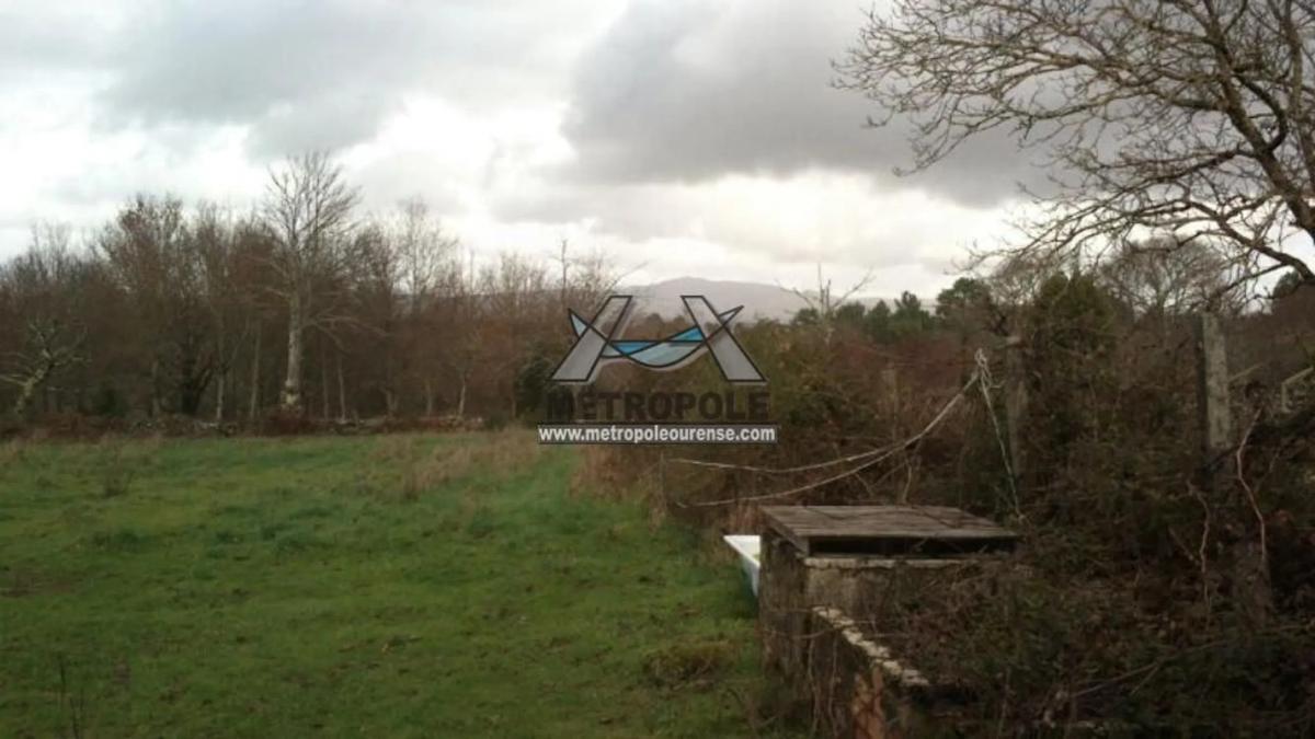 Terreno en venta en Amoeiro, Ourense photo 4