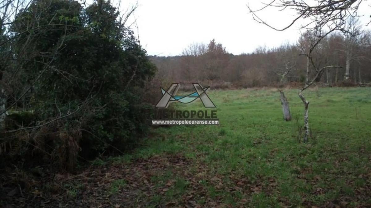 Terreno en venta en Amoeiro, Ourense photo 5