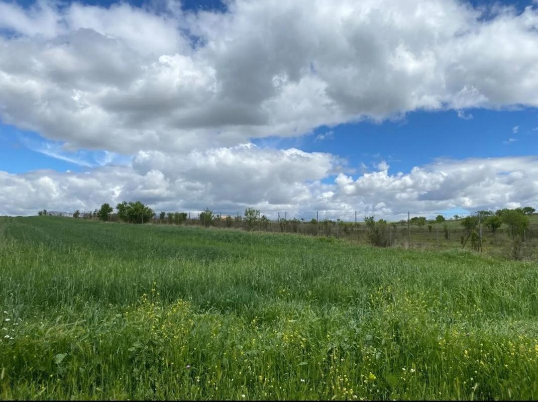 Участок земли на продажу в Мехорада дель Кампо, Мадрид photo 5