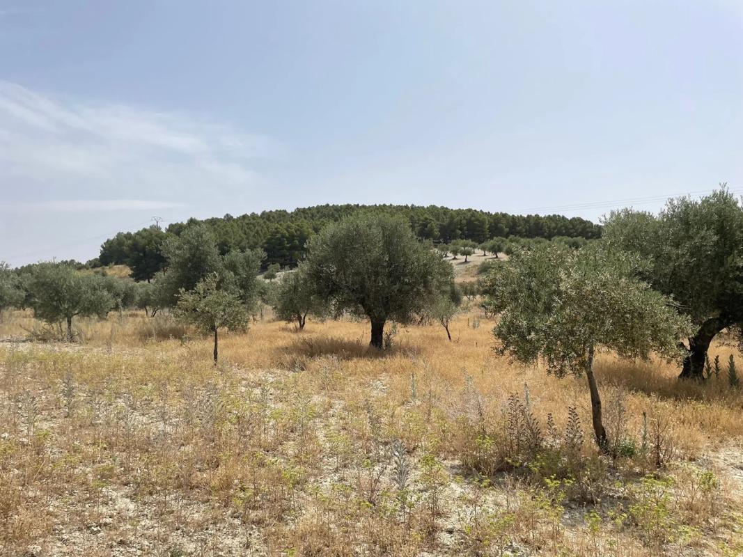 Terreno en venta en Mejorada del Campo, Madrid photo 1
