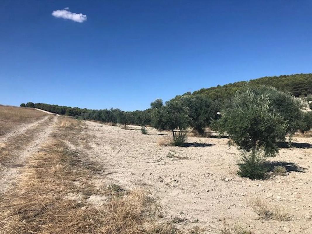 Terreno en venta en Mejorada del Campo, Madrid photo 2