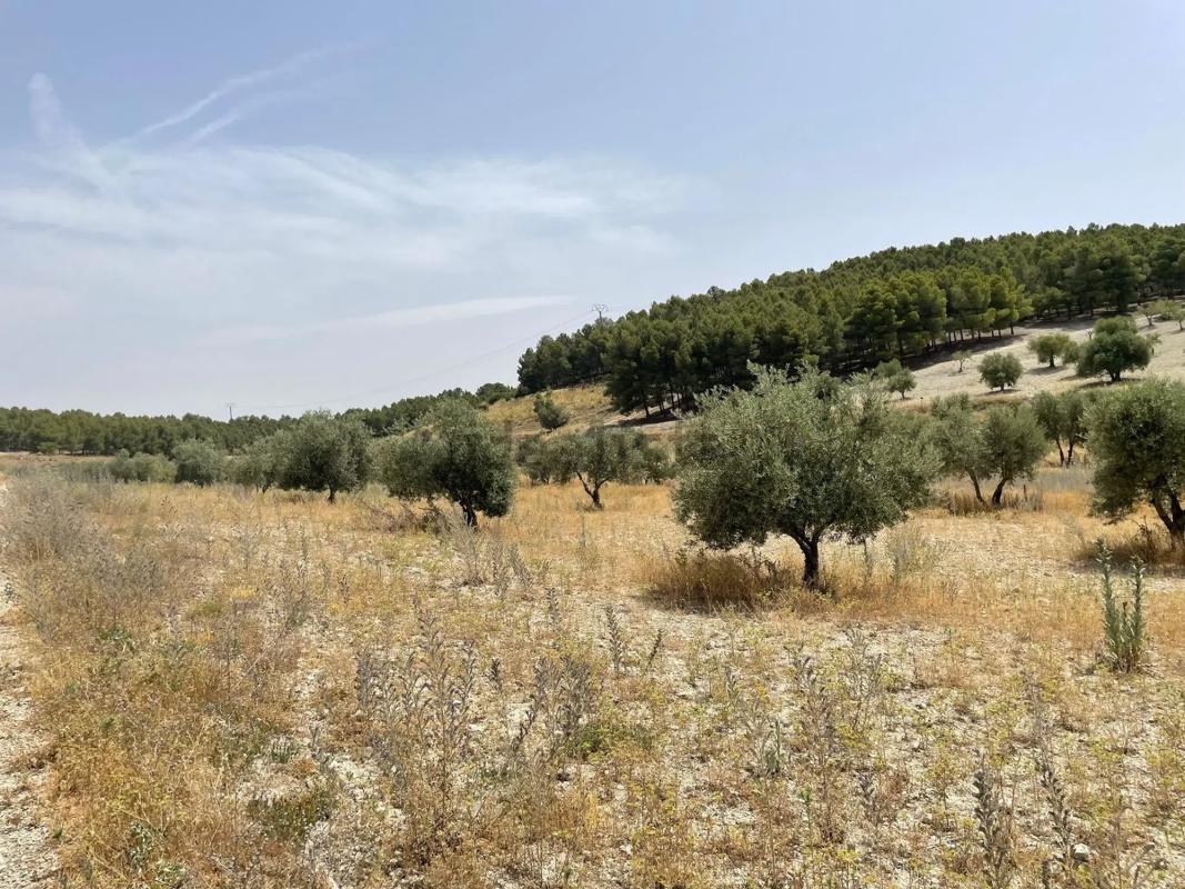 Terreno en venta en Mejorada del Campo, Madrid photo 3