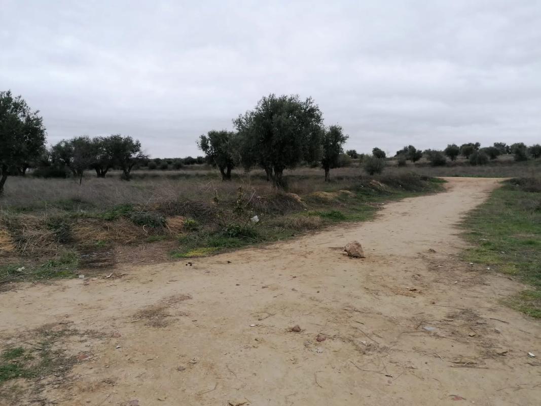 Terreno en venta en Mejorada del Campo, Madrid photo 4