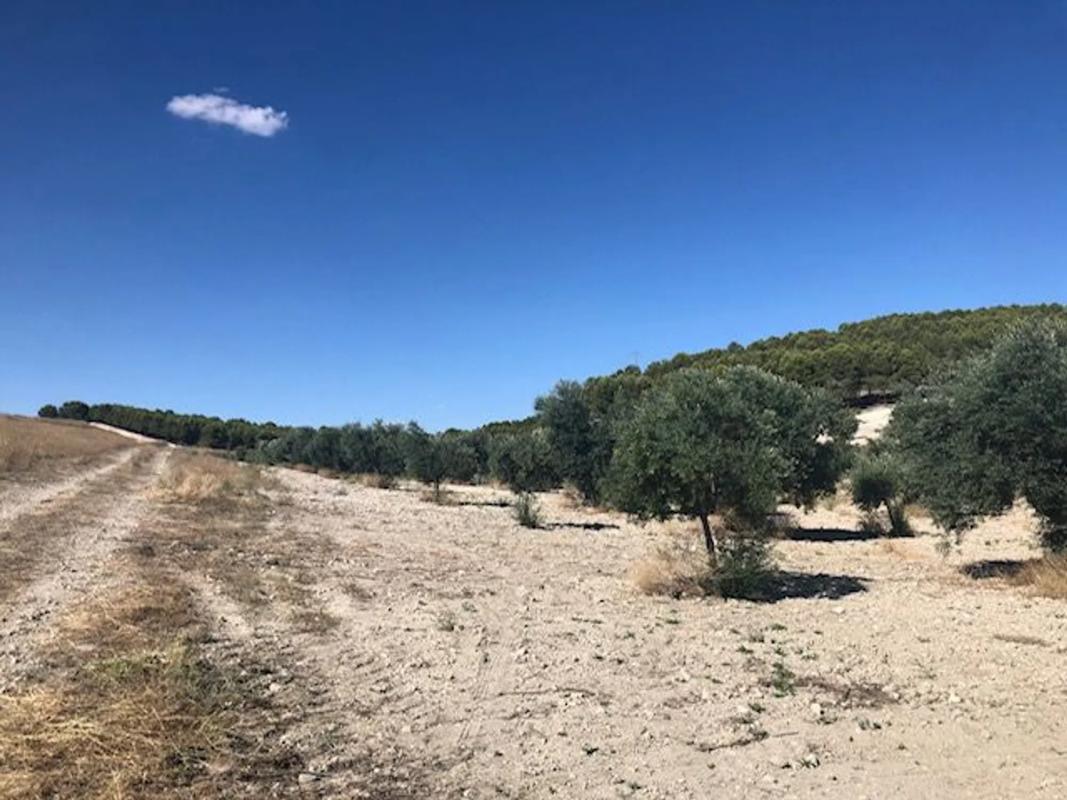 Terreno en venta en Mejorada del Campo, Madrid photo 5