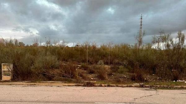 Terreno en calle Sector El Angelillo photo 3