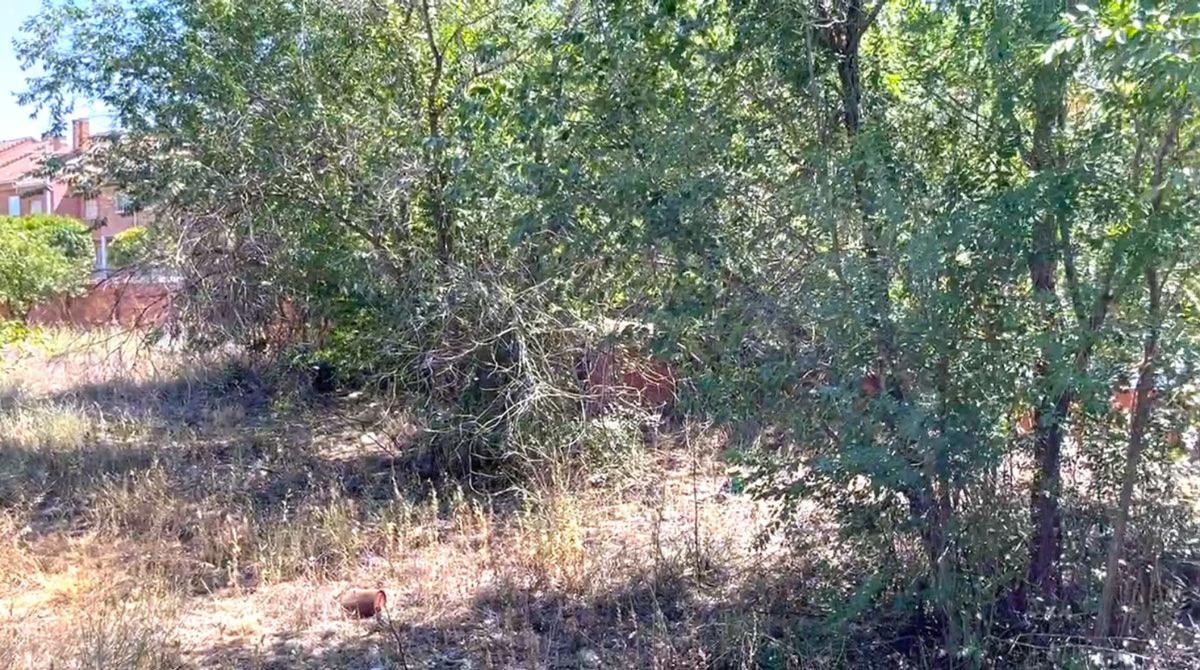 Land for sale in Loeches, Madrid photo 4