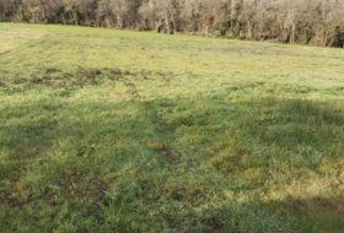 Land for sale in Mejorada del Campo, Madrid photo 1