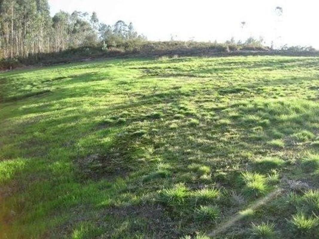 Land for sale in Mejorada del Campo, Madrid photo 3