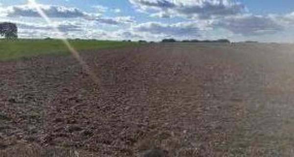 Terreno en camino del Llano Cobo, 2 Polig 2 photo 1