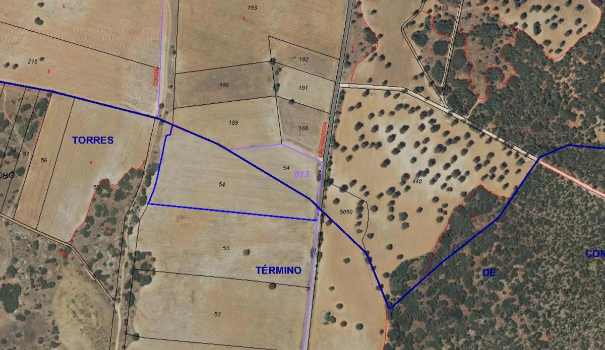 Land for sale in Pezuela de las Torres, Madrid photo 4