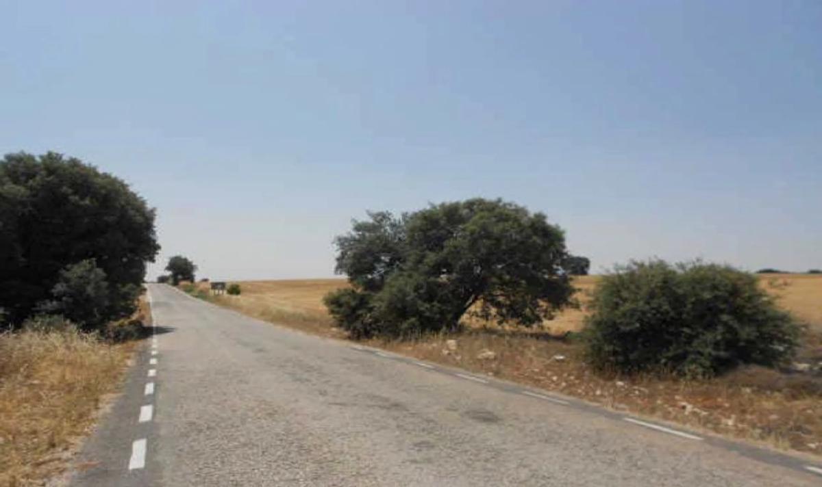 Land for sale in Pezuela de las Torres, Madrid photo 5