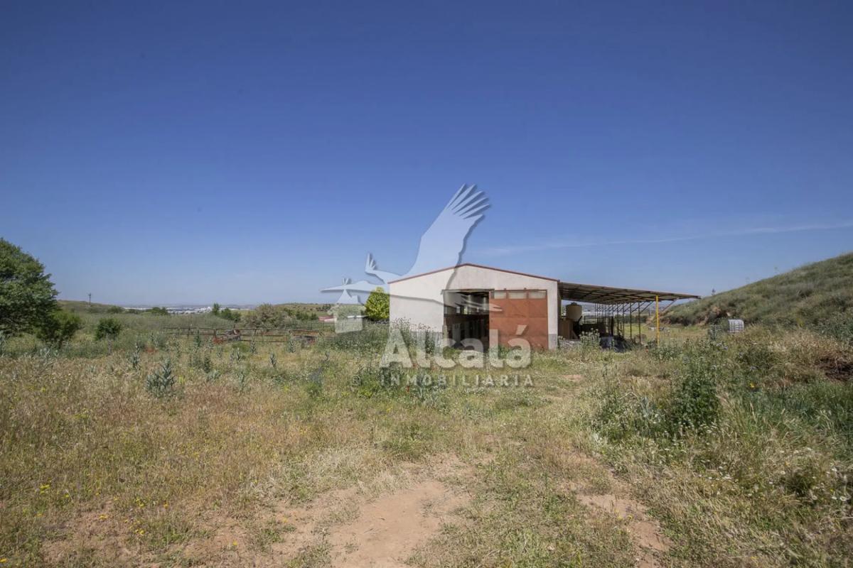 Land for sale in Los Santos de la Humosa, Madrid photo 4