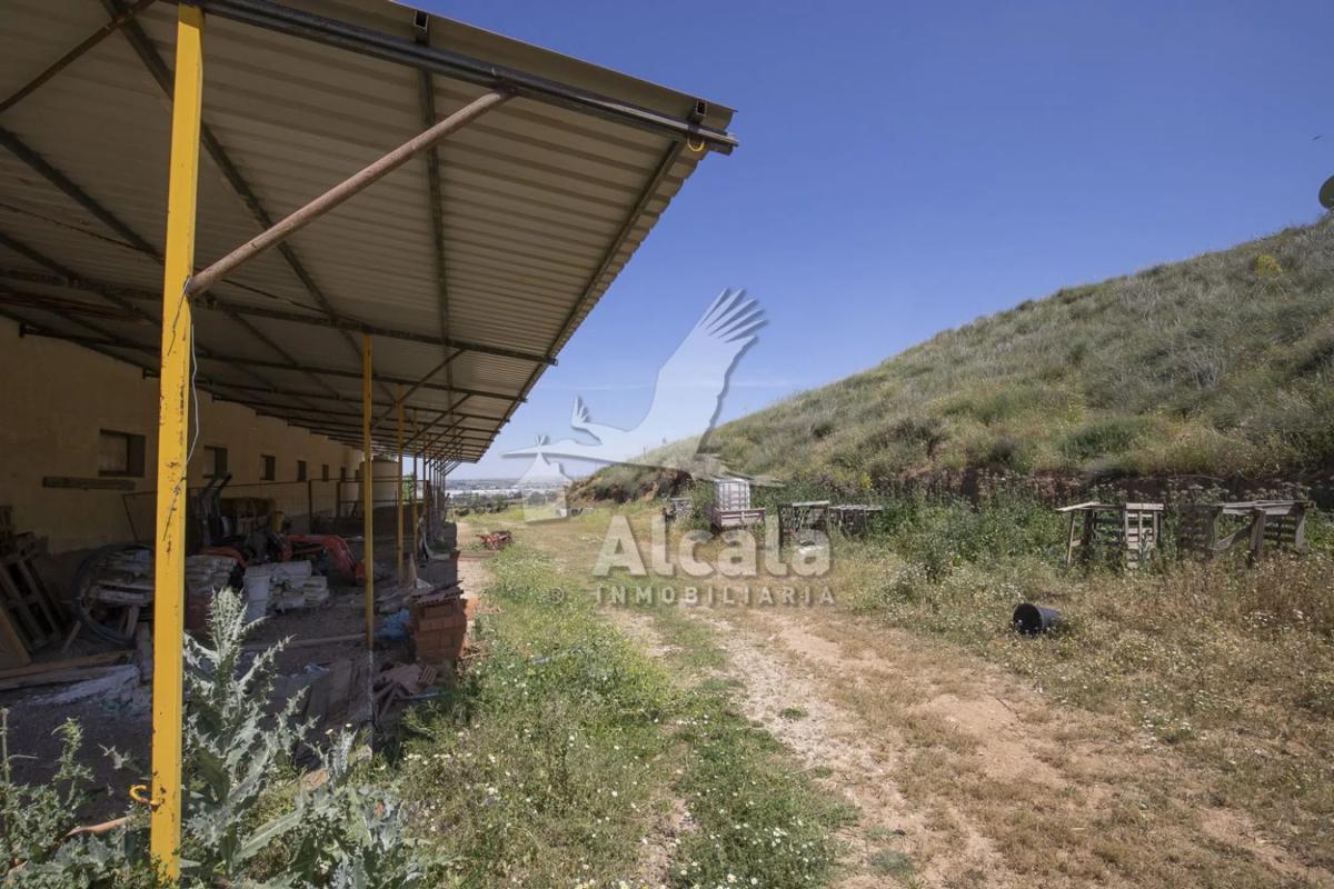 Land for sale in Los Santos de la Humosa, Madrid photo 5
