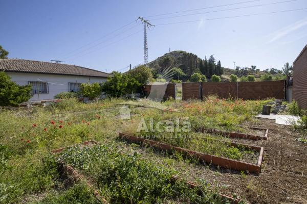 Terreno en Valverde de Alcala photo 2