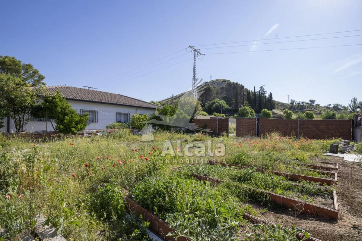Land for sale in Valverde de Alcala, Madrid photo 3