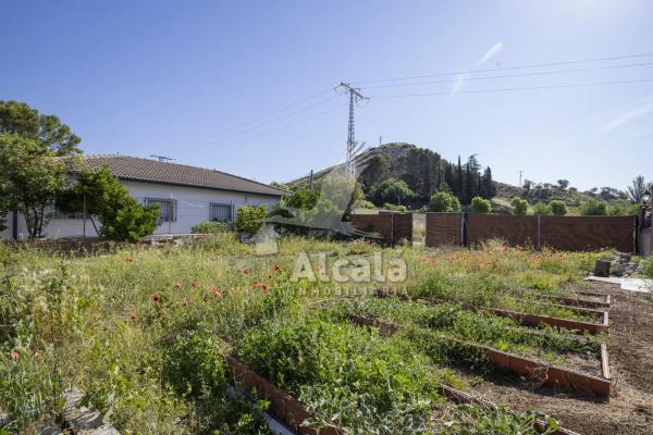 Terreno en Valverde de Alcala photo 3