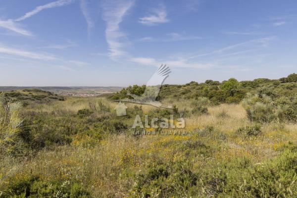 Terreno en Villalbilla photo 4