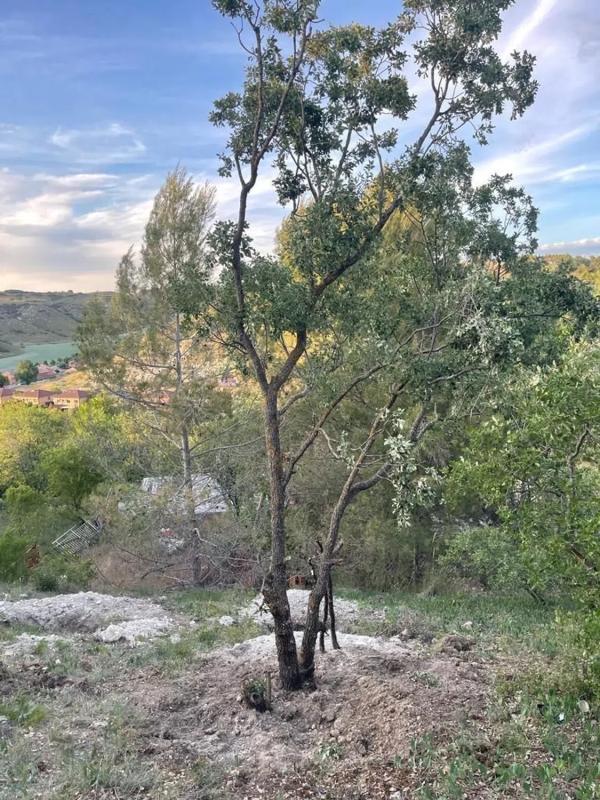 Terreno en venta en Villalbilla, Madrid photo 1