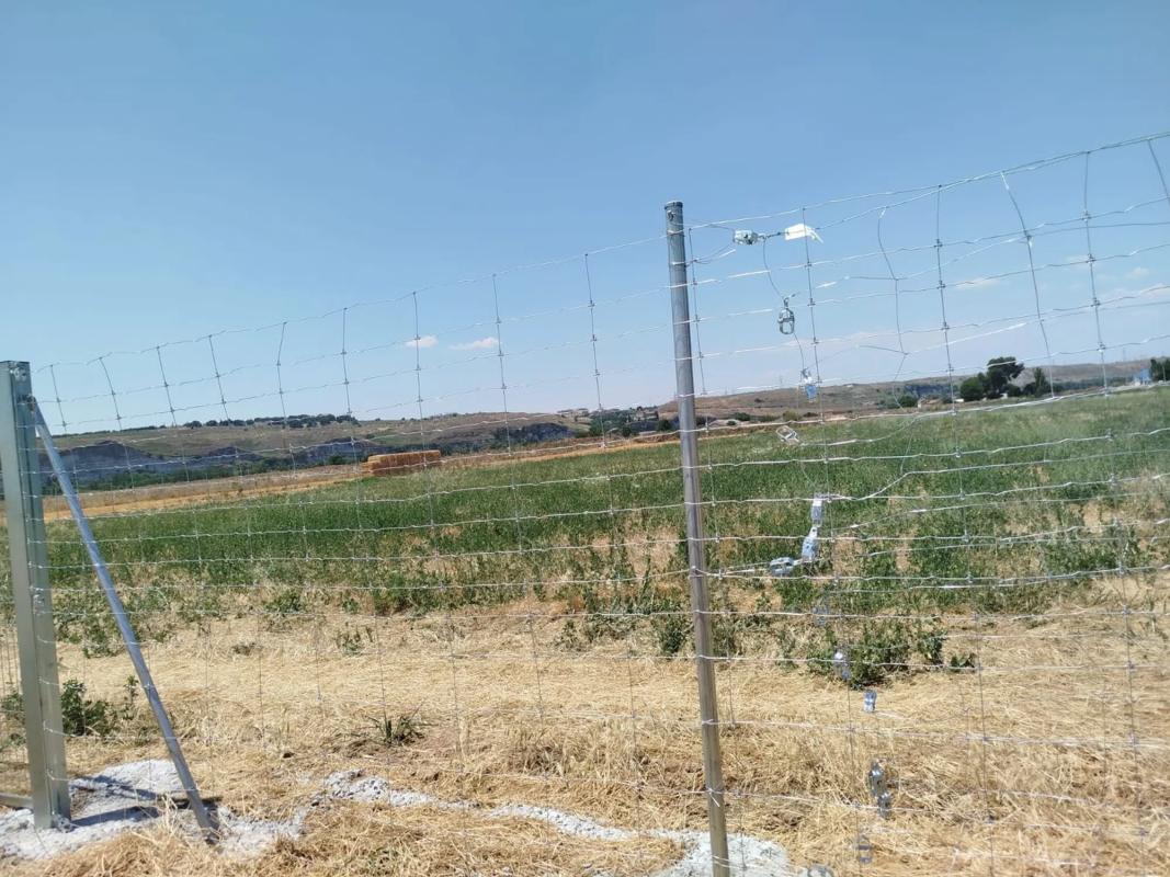 Land for sale in San Fernando de Henares, Madrid photo 3