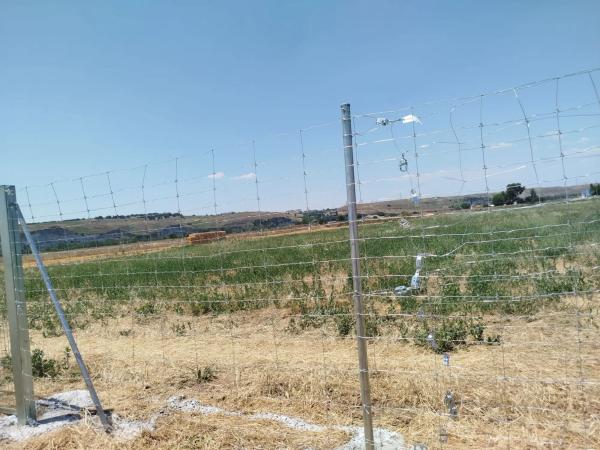 Terreno en camino de Quintana, 3 photo 3