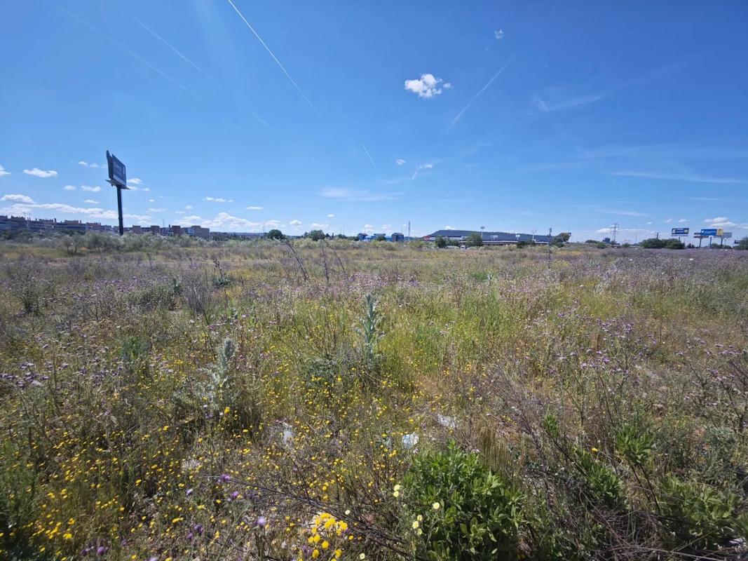 Land for sale in Alcalá de Henares, Madrid photo 1