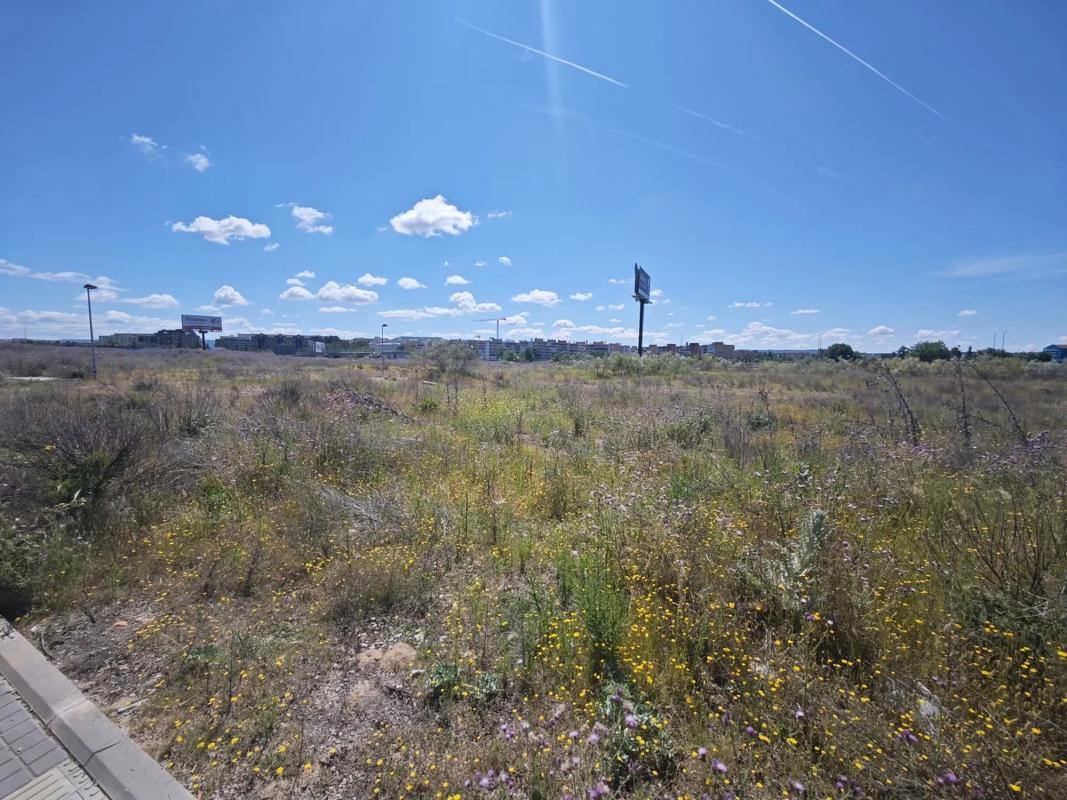 Land for sale in Alcalá de Henares, Madrid photo 3