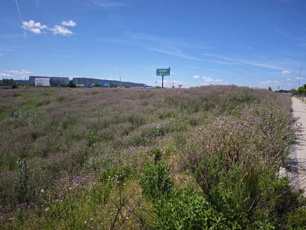 Land for sale in Alcalá de Henares, Madrid photo 5
