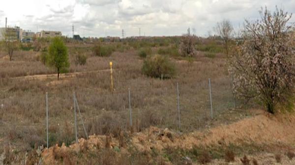 Terreno en Las Sedas - El Olivar photo 1