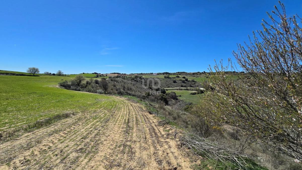 Terreno en venta en Los Santos de la Humosa, Madrid photo 5