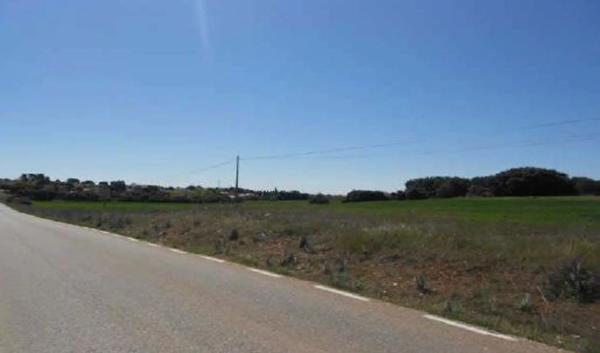 Terreno en camino de Alcalá, 1 thumbnail 2