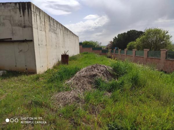 Terreno en Camarma de Esteruelas photo 1