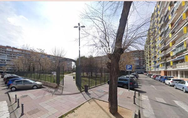 Terreno en Sureste photo 3