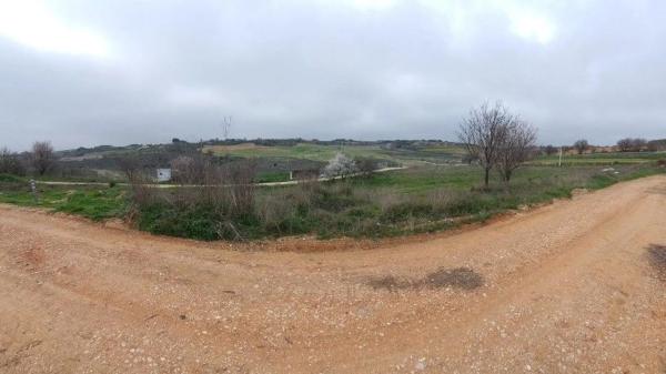 Terreno en calle la Olivilla photo 3