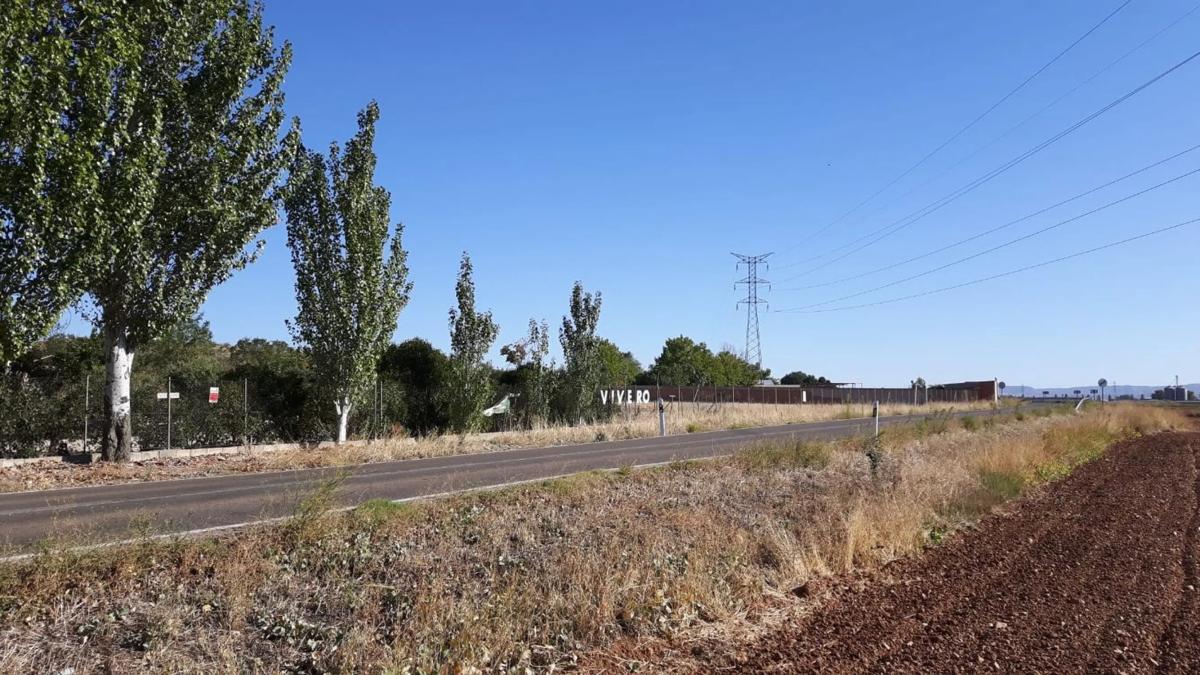 Land for sale in Meco, Madrid photo 1