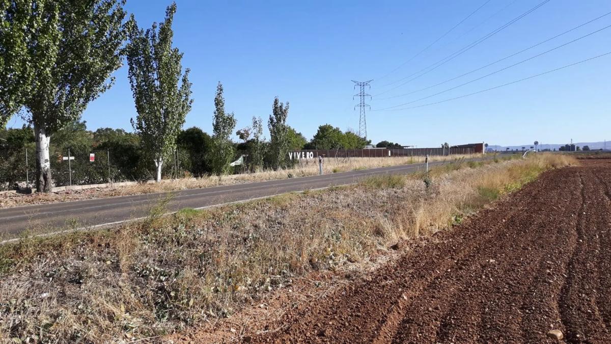 Land for sale in Meco, Madrid photo 2