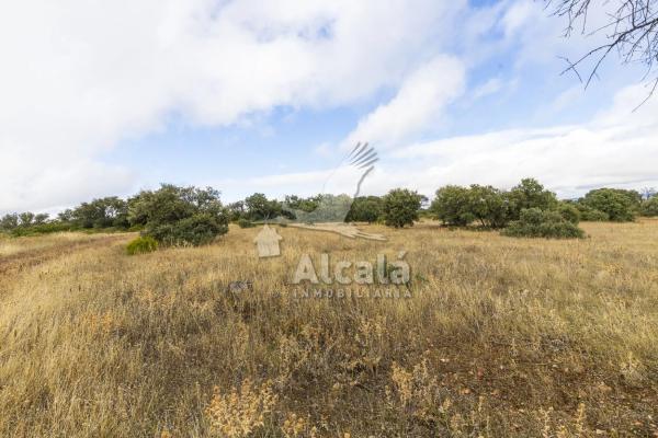 Terreno en Villalbilla photo 3