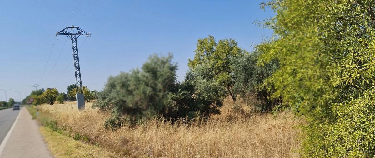 Land for sale in Torrejón de Ardoz, Madrid photo 1
