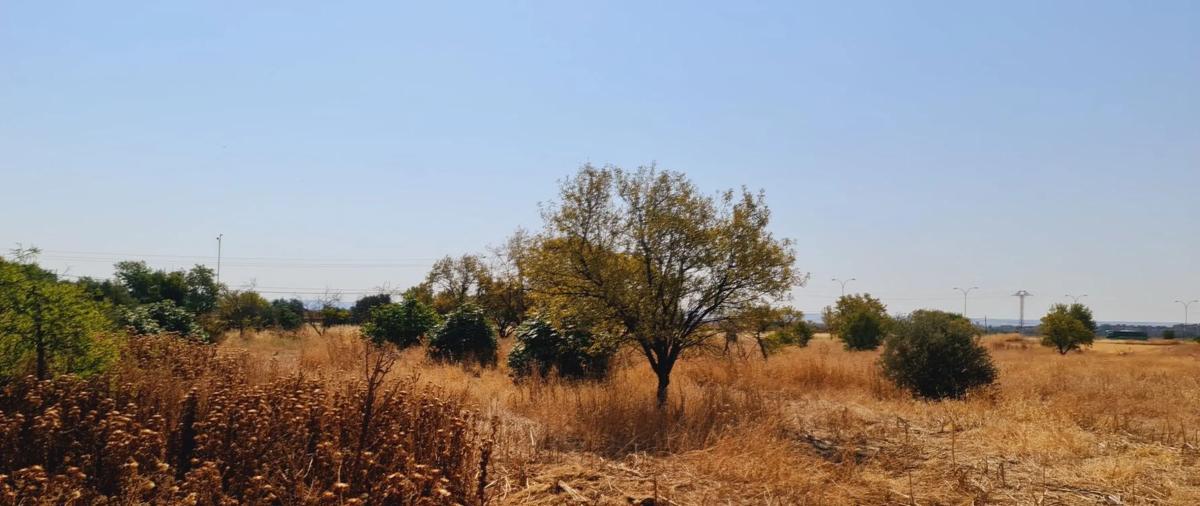 Land for sale in Torrejón de Ardoz, Madrid photo 4