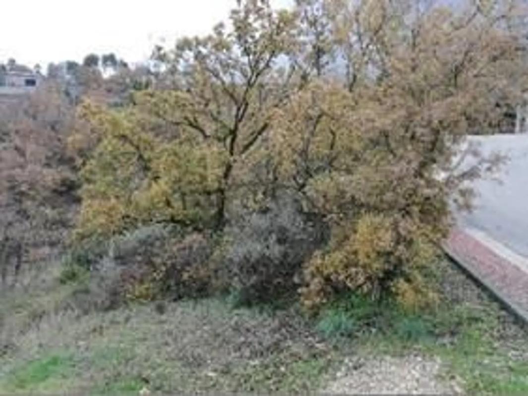 Land for sale in Villalbilla, Madrid photo 1