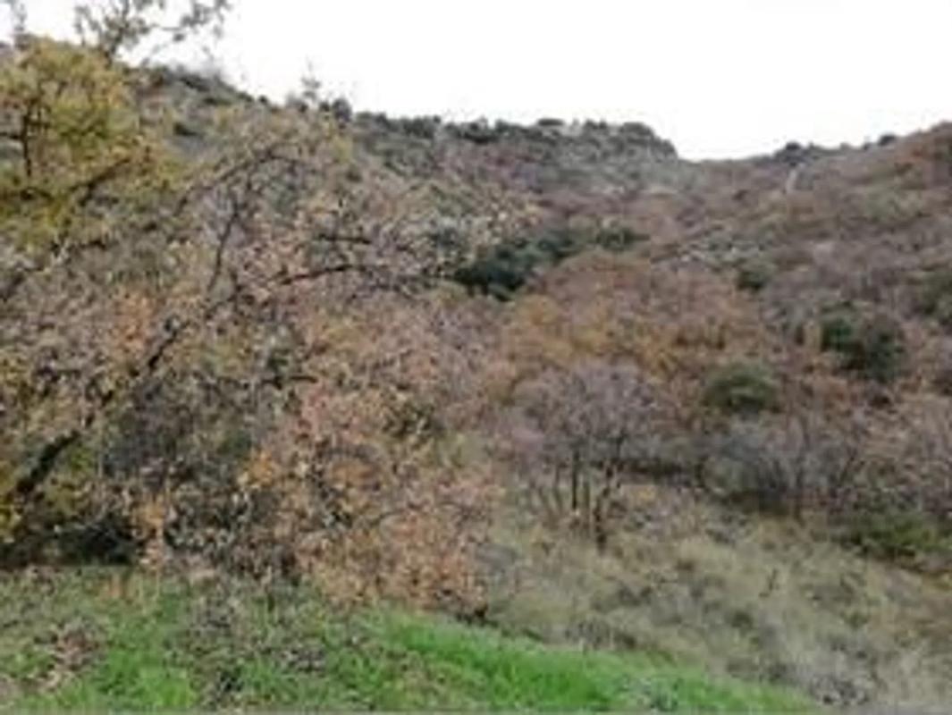 Land for sale in Villalbilla, Madrid photo 4