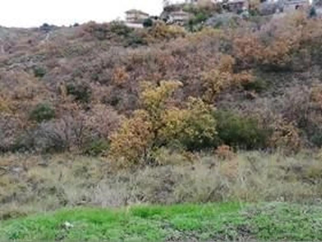 Land for sale in Villalbilla, Madrid photo 5