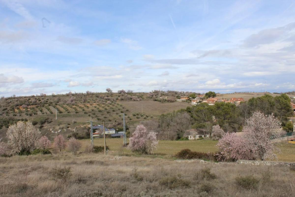 Terreno en venta en Santorcaz, Madrid photo 4