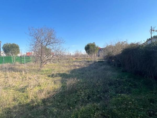 Terreno en calle Tomillo photo 4